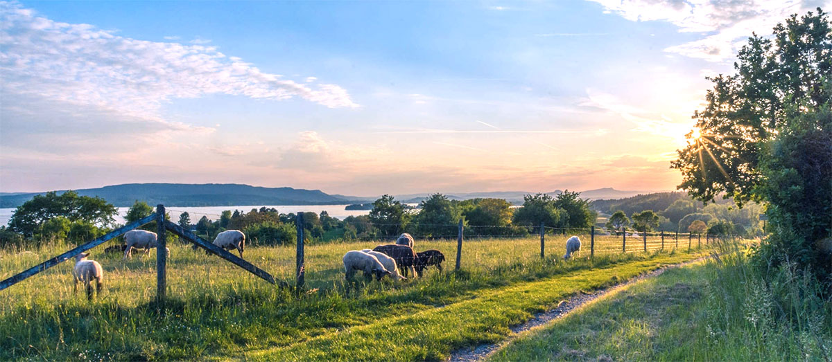Finanziamenti per gli agriturismi lombardi
