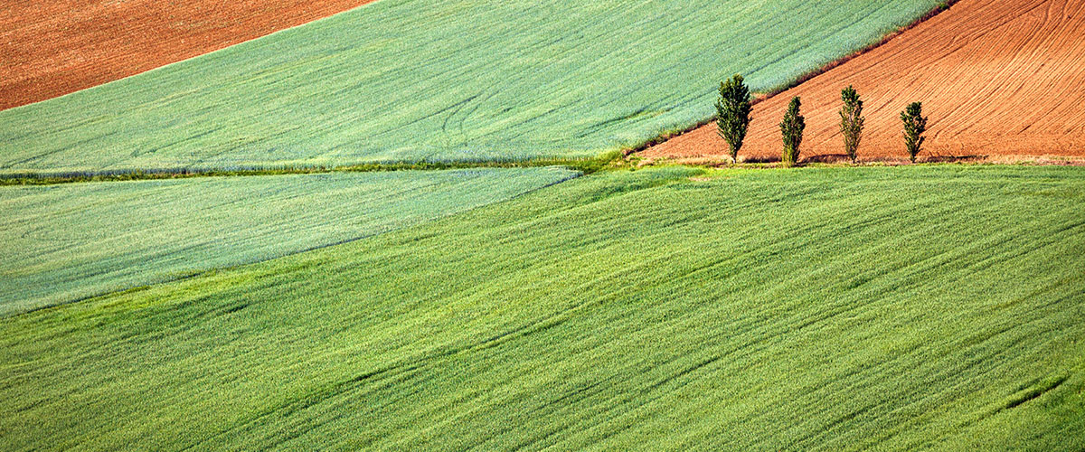 Torna ad Arezzo AgrieTour la fiera dell'agriturismo